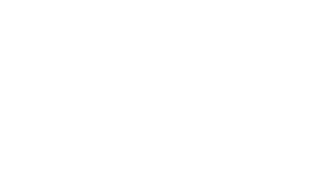 Papirfly kund - Bridgestone