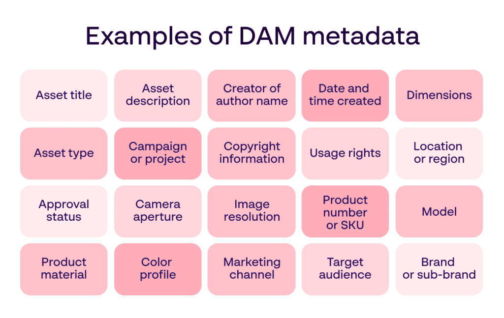 Papirfly infographic demonstrating examples of metadata to categorize branded assets in a DAM solution