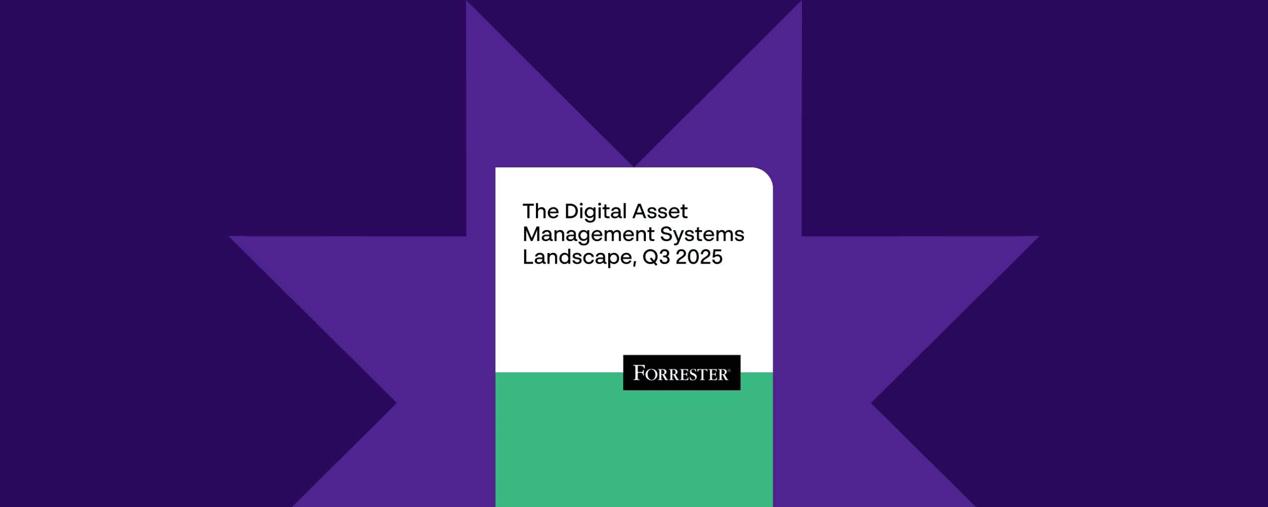 What Forrester’s 2025 DAM Landscape means for modern brands